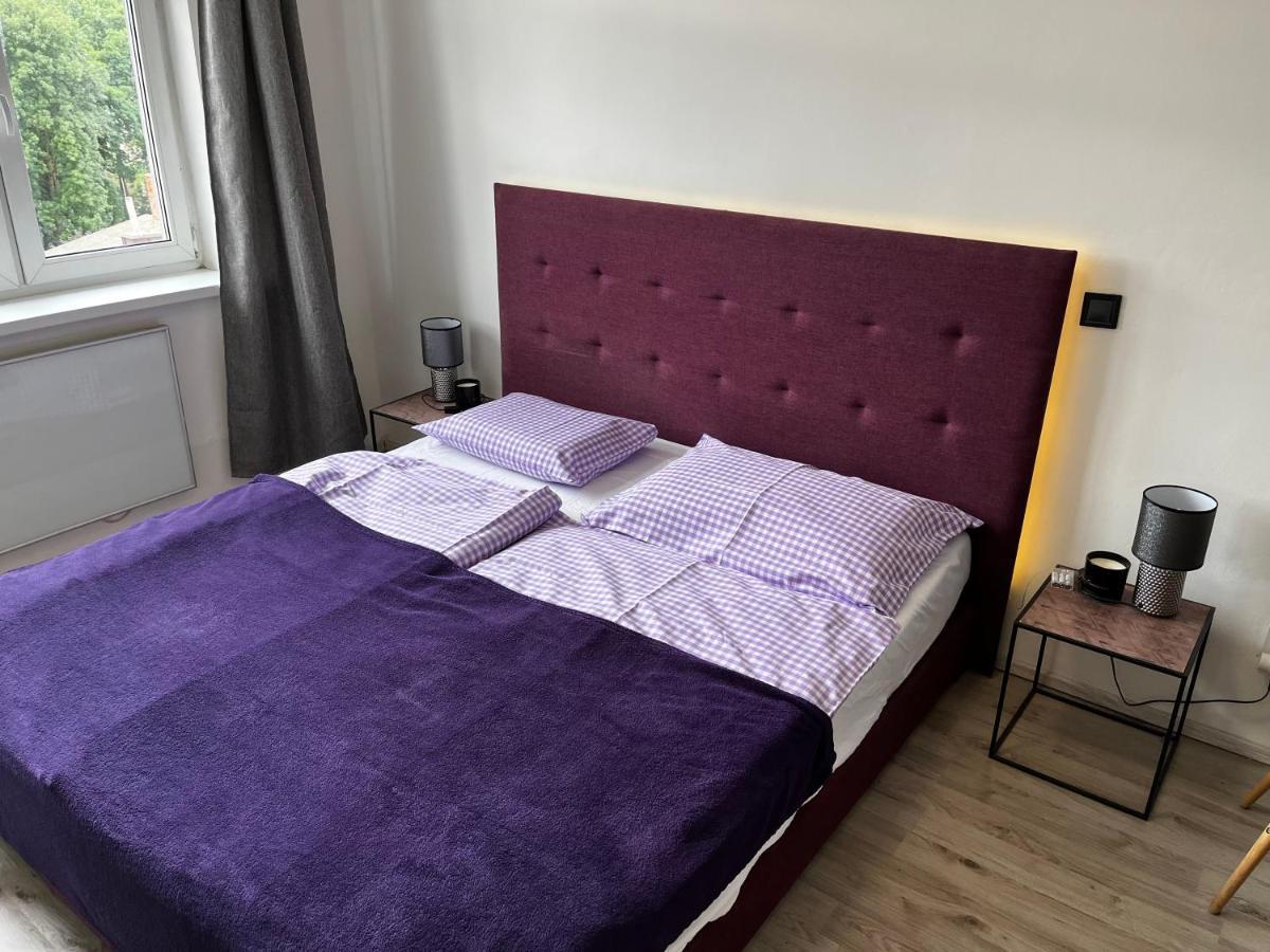 Large 3 Bedroom Apartment With City Skyline View Карлови Вари Екстериор снимка