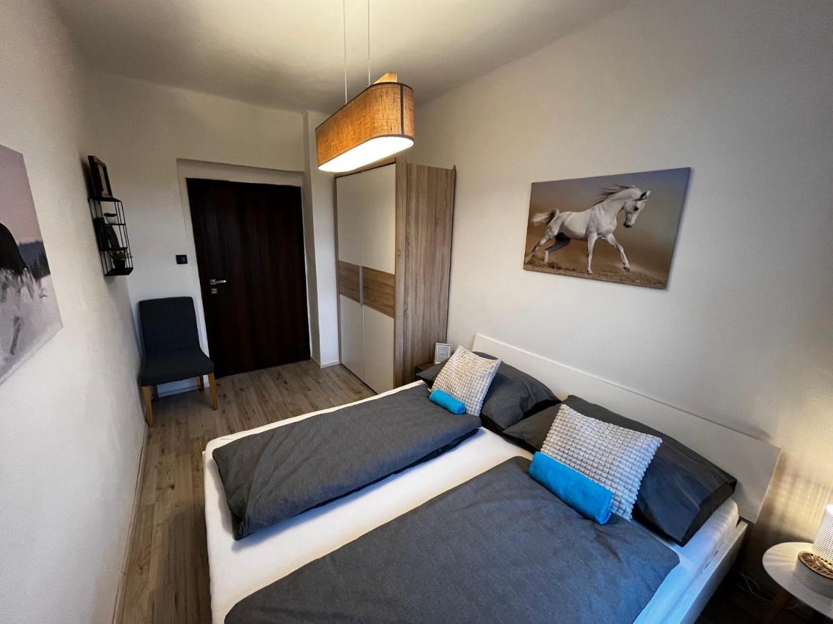 Large 3 Bedroom Apartment With City Skyline View Карлови Вари Екстериор снимка