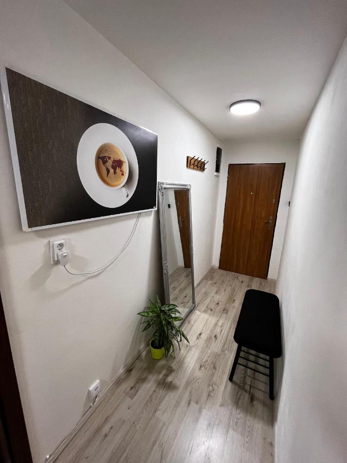 Large 3 Bedroom Apartment With City Skyline View Карлови Вари Екстериор снимка