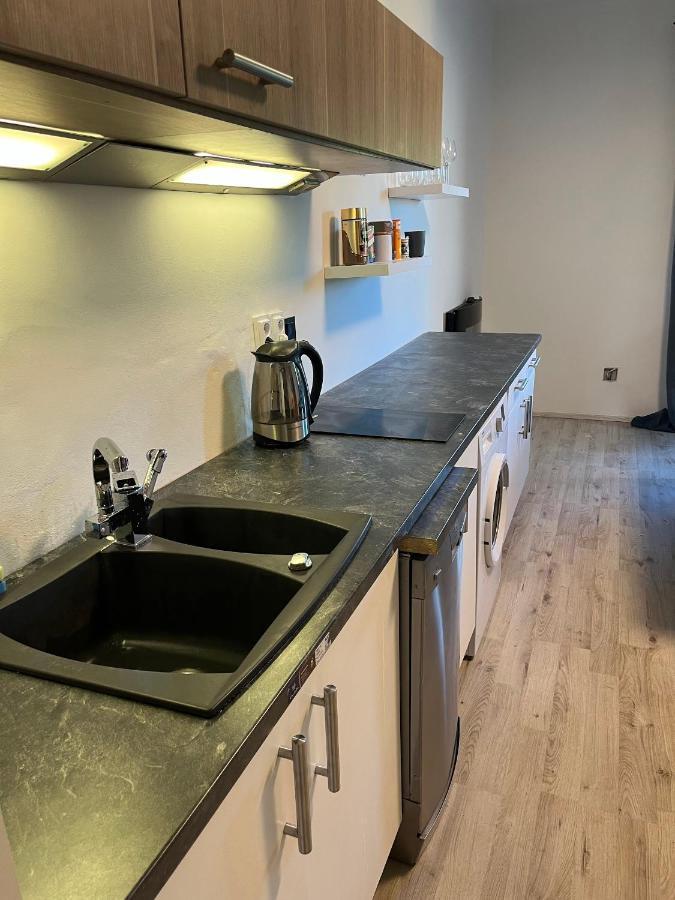 Large 3 Bedroom Apartment With City Skyline View Карлови Вари Екстериор снимка